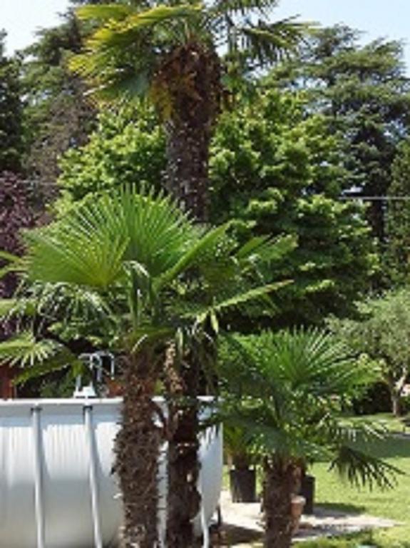 Relais Villa Lezard Lazise Room photo